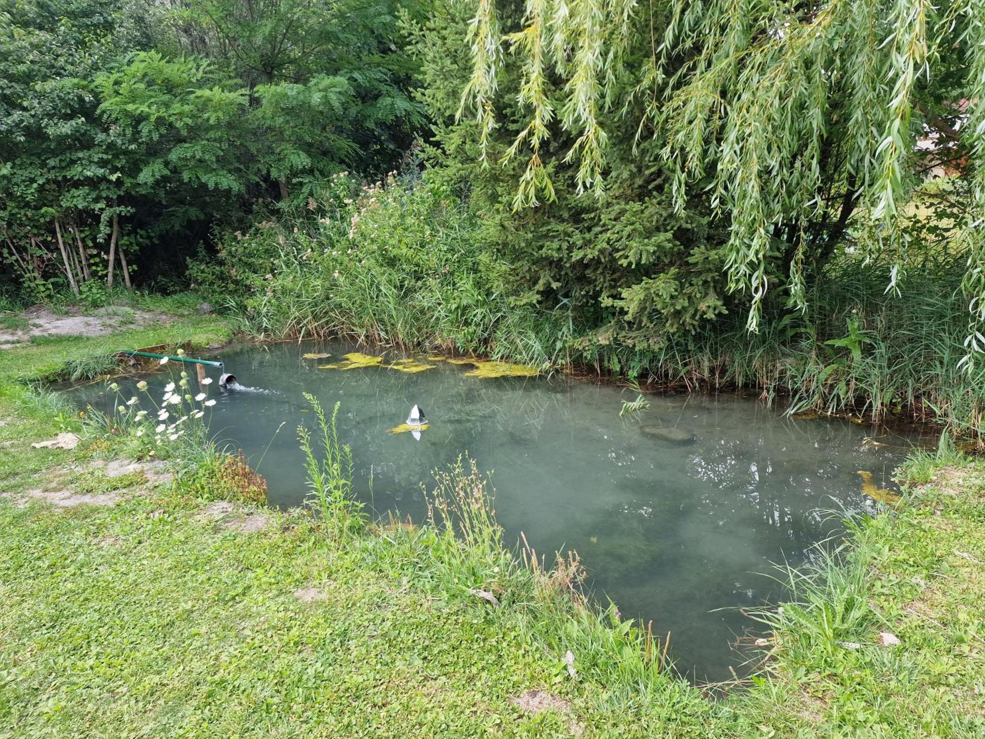 Séjour chez l'habitant Aux Gorges De Daluis *
